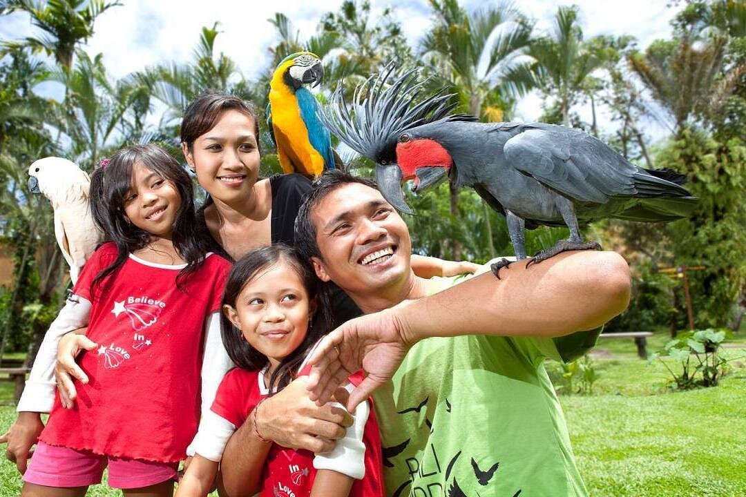 Attractions in Bali